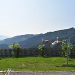 Schleinzer *