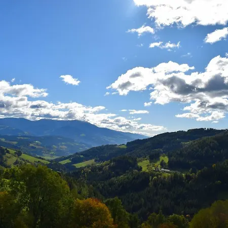 Schleinzer *