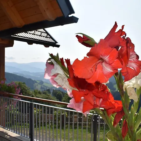 Σπίτι διακοπών Schleinzer Prebl